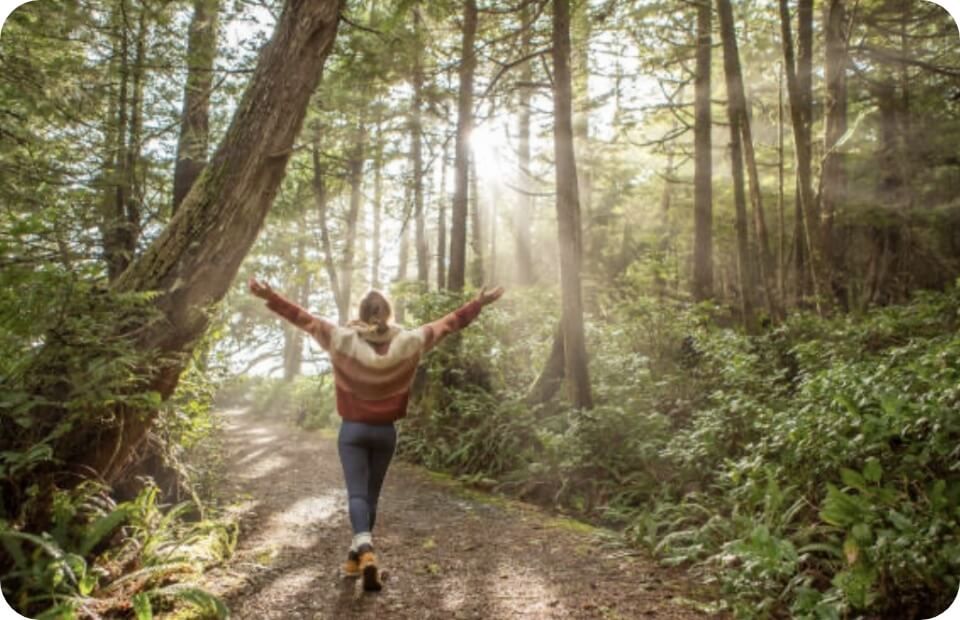 コンセプトのスマホ画像