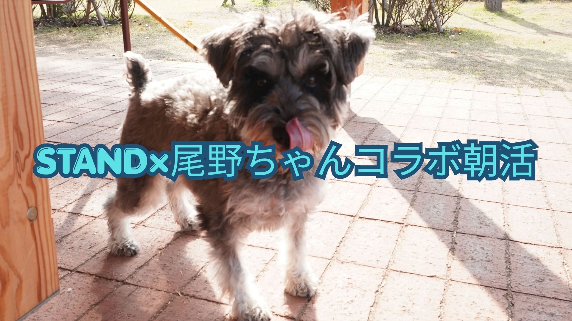 お知らせトップ画像